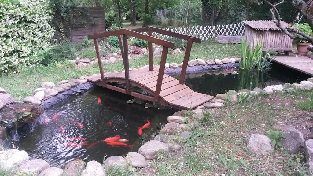 Camping Le Fief D'Anduze Zewnętrze zdjęcie